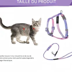 DOWNYPAWS - Harnachement et laisse pour chat s