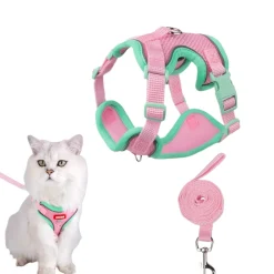 DOWNYPAWS - Harnais avec laisse pour chat l