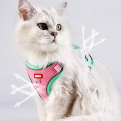 DOWNYPAWS - Harnais avec laisse pour chat l