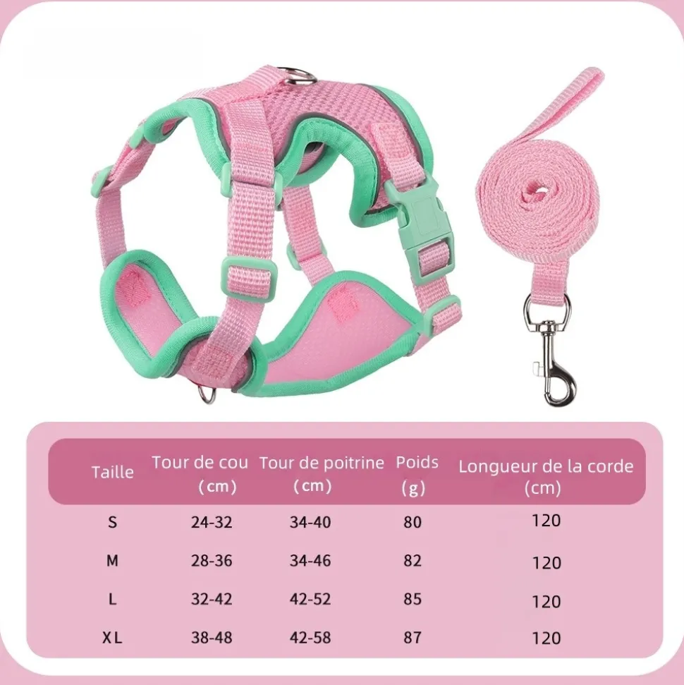 DOWNYPAWS - Harnais avec laisse pour chat xl