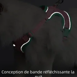 DOWNYPAWS - Harnais avec laisse pour chat s