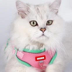 DOWNYPAWS - Harnais avec laisse pour chat s