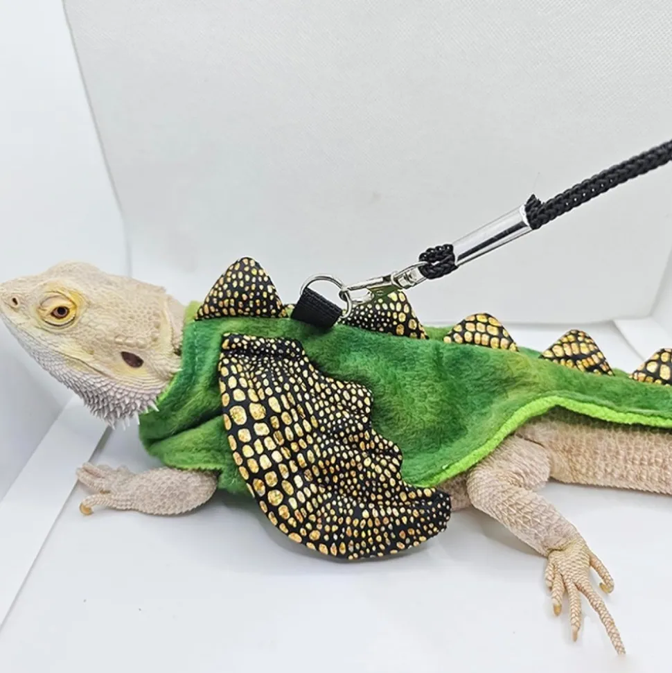 DOWNYPAWS - Harnais et laisse - costume de dinosaure, anti - fuite, halloween s