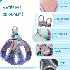 DOWNYPAWS - Harnais pour chat avec laisse et doublure réfléchissante l