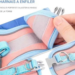 DOWNYPAWS - Harnais pour chat avec laisse et doublure réfléchissante l