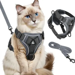 DOWNYPAWS - Harnais réfléchissant réglable pour chat - avec laisse xl