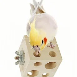 DOWNYPAWS - Jouet à mâcher - en bois de pin, avec trous, durable