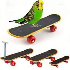 DOWNYPAWS - Jouet interactif pour perroquet