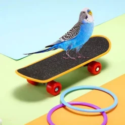 DOWNYPAWS - Jouet interactif pour perroquet