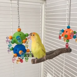 DOWNYPAWS - Jouet pour perroquets