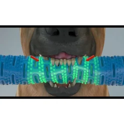 DOWNYPAWS - Jouets à mâcher pour chiens-jouet os à mâcher pour chienamovible-bleu 26*5*5cm