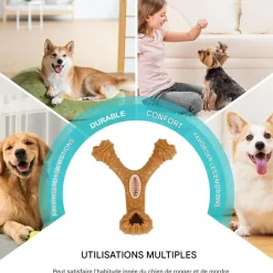 DOWNYPAWS - Jouets à mâcher pour chiens-en forme d'osen forme d'os-bon pour la santé dentaire