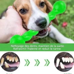 DOWNYPAWS - Jouets à mâcher pour chiens- forme d'os -grand verthygiène dentaire