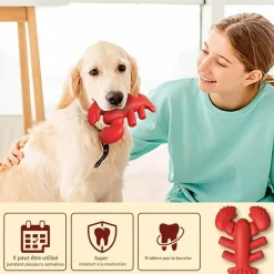 DOWNYPAWS - Jouets à mâcher pour chiens en forme de homard -13.2*5.7*17cm