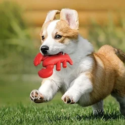 DOWNYPAWS - Jouets à mâcher pour chiens en forme de homard -13.2*5.7*17cm