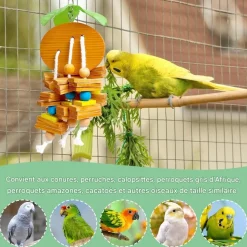 DOWNYPAWS - Jouets à ronger - lot de 4 puzzle d'entraînement