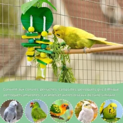 DOWNYPAWS - Jouets à ronger - lot de 4 puzzle d'entraînement