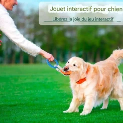 DOWNYPAWS - Jouets de tir à la corde