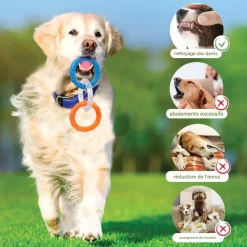 DOWNYPAWS - Jouets de tir à la corde