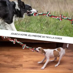 DOWNYPAWS - Jouets de tir à la corde