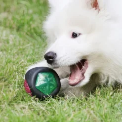 DOWNYPAWS - Jouets pour chiens de compagnie: jouets de loisirs résistants aux morsures balles d'entraînement interactive sonores et lumineuses