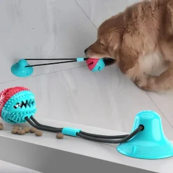 DOWNYPAWS - Jouets pour chiens : ventouse intégrée et balle ultra - résistante à la mastication