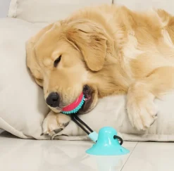 DOWNYPAWS - Jouets pour chiens : ventouse intégrée et balle ultra - résistante à la mastication
