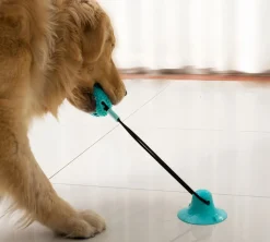 DOWNYPAWS - Jouets pour chiens : ventouse intégrée et balle ultra - résistante à la mastication