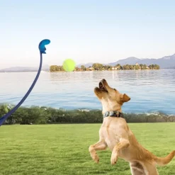 DOWNYPAWS - Lanceur de balles pour chien paquet de 3-jouets interactifs pour chiens-bleu+rose+vert 60cm