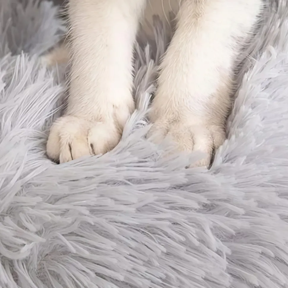 DOWNYPAWS - Lit en peluche et feutre rond pour chiens et chats - huit couleurs envoyées au hasard