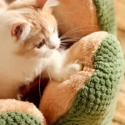 DOWNYPAWS - Lit pour chat en forme de pétale