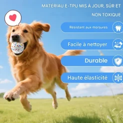 DOWNYPAWS - Lot de 6 balles jouets pour chien 6.3cm-jouets interactifs à haute élasticité
