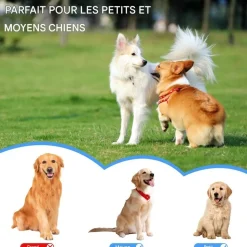 DOWNYPAWS - Lot de 6 balles jouets pour chien 6.3cm-jouets interactifs à haute élasticité