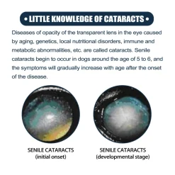 DOWNYPAWS - Lotion pour les yeux des animaux de compagnie, 10 ml