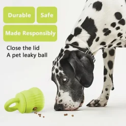 DOWNYPAWS - Mangeur lent de chien en silicone médical certifié fda vert clair