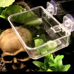 DOWNYPAWS - Plat pour reptiles