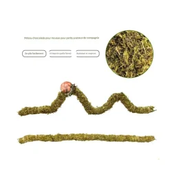 DOWNYPAWS - Poteau d'escalade en mousse 30 cm pour animaux de compagnie