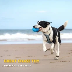 DOWNYPAWS - Pour Les Chiens De Taille Moyenne Et Grande Qui Aiment Mâcher : Petite Balle à Mâcher Pour Chien Avec Couinement