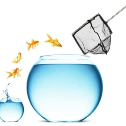 DOWNYPAWS - Épuisette aquarium - nettoyage déchets