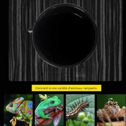 DOWNYPAWS - Récipient d'alimentation - accessoires pour aquarium de reptiles