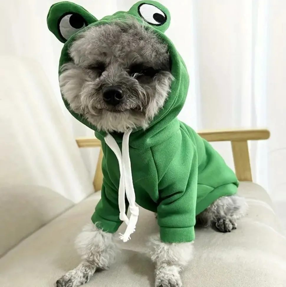 DOWNYPAWS - Sweat à capuche tricoté, thème grenouille, pour chatons