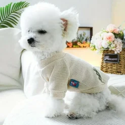 DOWNYPAWS - T - shirt col rond, style dinosaurus, pull de sport pour chien (printemps - été)