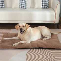 DOWNYPAWS - Tapis chauffant pour chat et chien - sans électricité - portable et antidérapant