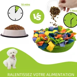 DOWNYPAWS - Tapis de recherche pour chien