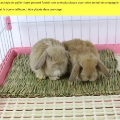 DOWNYPAWS - Tapis d'herbe - tissé à la main, 6 pièces pour petits animaux