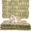 DOWNYPAWS - Tapis d'herbe - tissé à la main, 6 pièces pour petits animaux