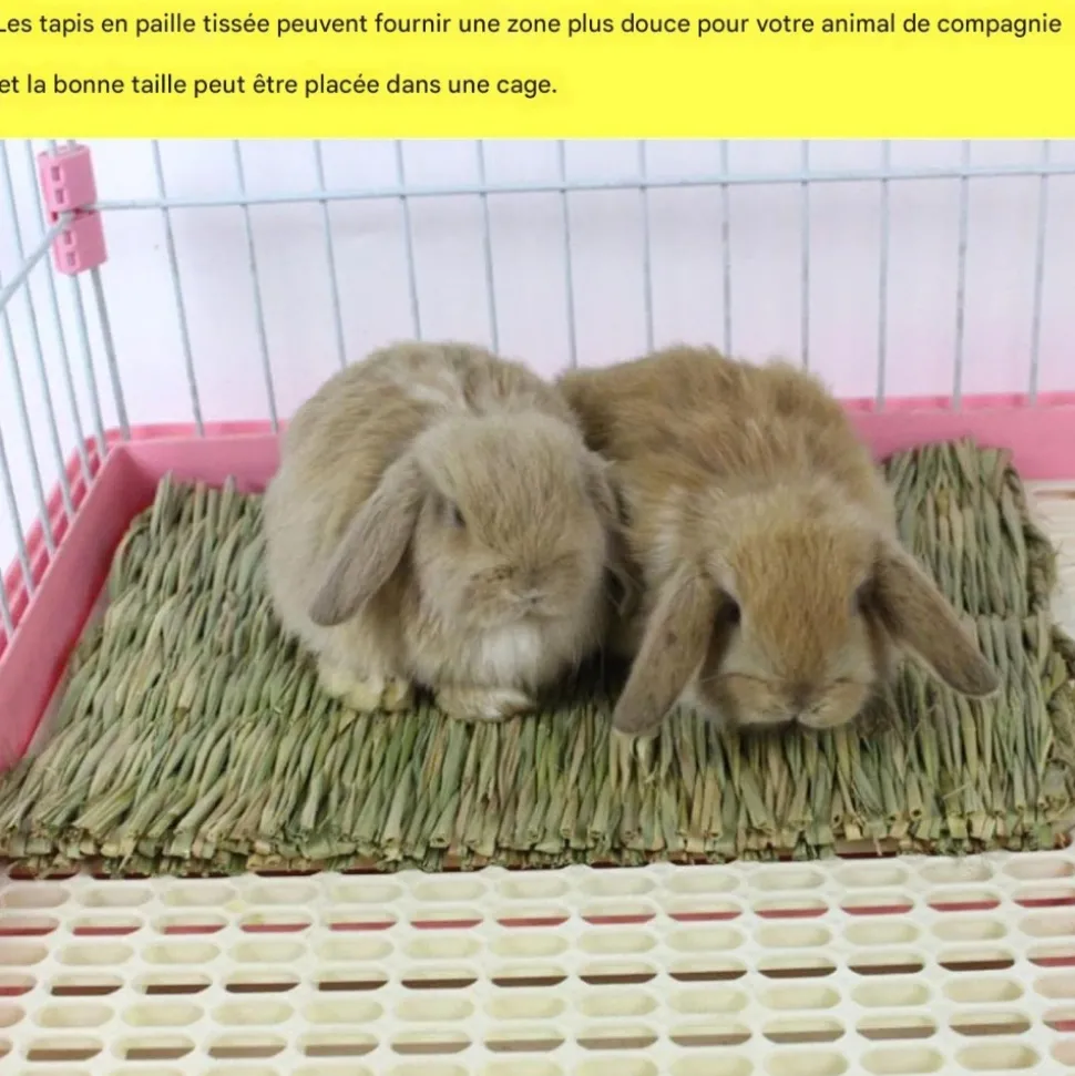 DOWNYPAWS - Tapis d'herbe - tissé à la main, 6 pièces pour petits animaux