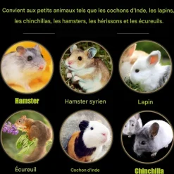 DOWNYPAWS - Tapis d'herbe - tissé à la main, 6 pièces pour petits animaux