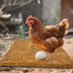 DOWNYPAWS - Tapis en fibre de noix de coco pour nid d'oiseau et animal de compagnie épaisseur 1cm 30*30cm 5 pièces