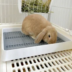 DOWNYPAWS - Toilette pour petits animaux